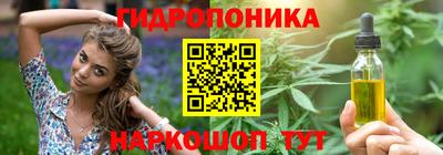 шишки Ирбит