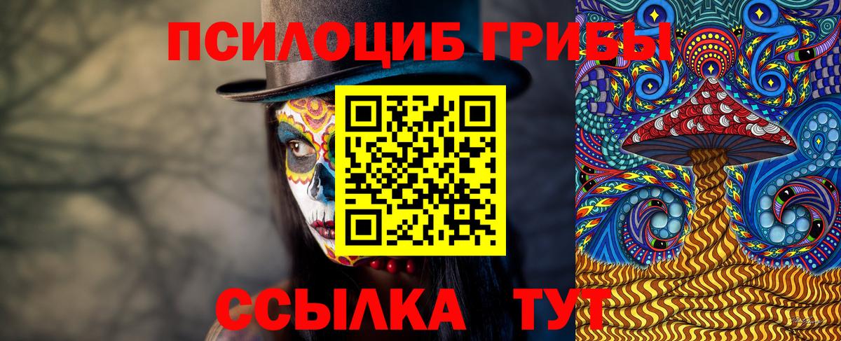 Псилоцибиновые грибы Psilocybine cubensis  Вход с VPN  купить  цена  Саяногорск 